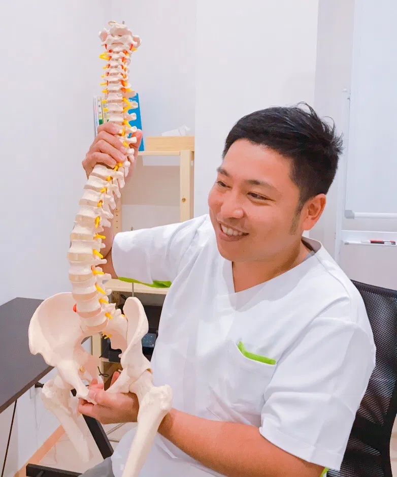骨盤模型を使って説明する骨盤整体nico院長 橋﨑良佑